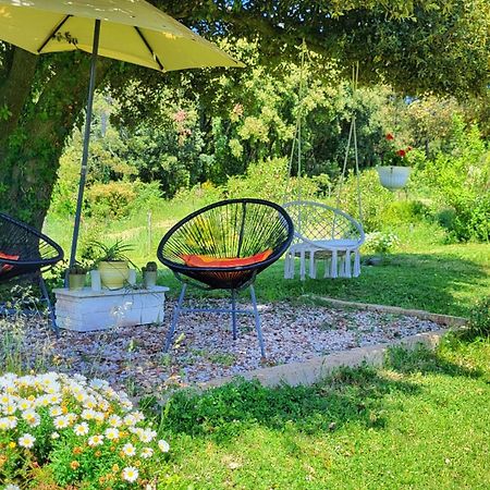 Agriturismo Podere Le Palaie Monterotondo  Exteriör bild