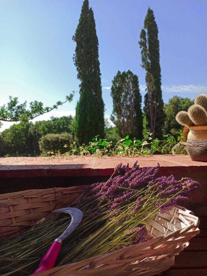 Agriturismo Podere Le Palaie Monterotondo  Exteriör bild