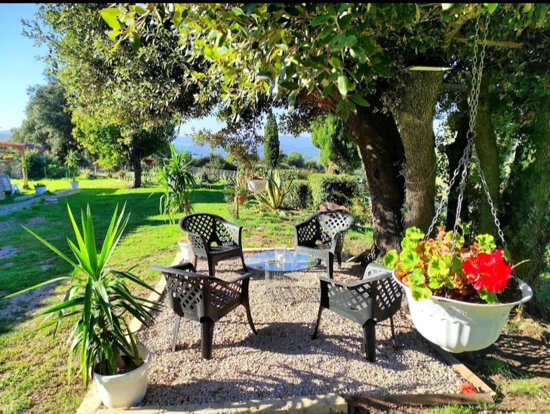 Agriturismo Podere Le Palaie Monterotondo  Exteriör bild