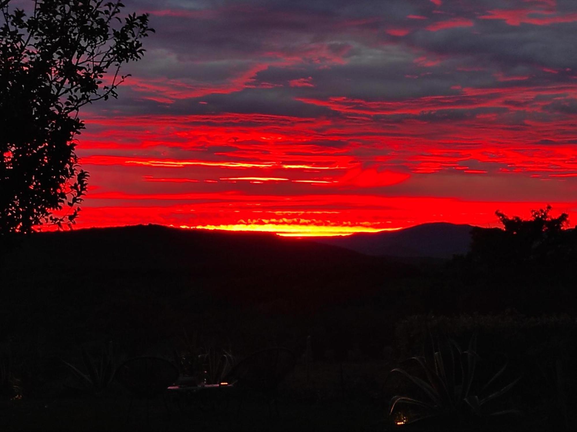 Agriturismo Podere Le Palaie Monterotondo  Rum bild